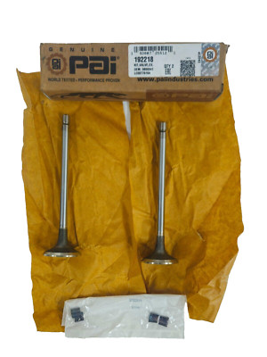 New In Box-PAI 192218 CUMMINS 3800341 EXHAUST VALVE KIT (6C / ISC / ISL) -2-Pack