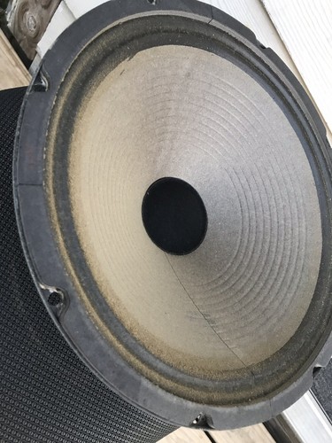 Jensen Concert Series Vintage Mi-120 Speaker