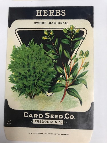 (4) Antique  ~ 1920's  ~ Card Seed Co. ~ Empty ~ Seed Packets ~ Fredonia, NY