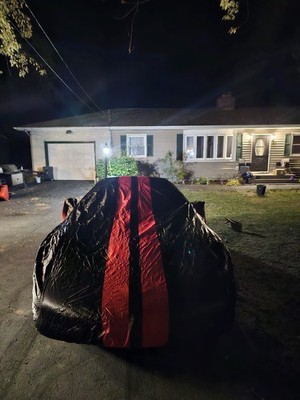 Fotos del artículo de un comprador verificado