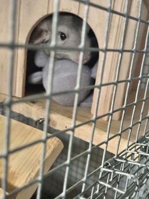 Objectfoto('s) van geverifieerde koper