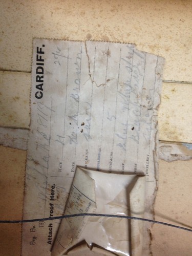 A & G Taylor Tinted 1879 Portrait Photo Gold Gild Gesso Frame