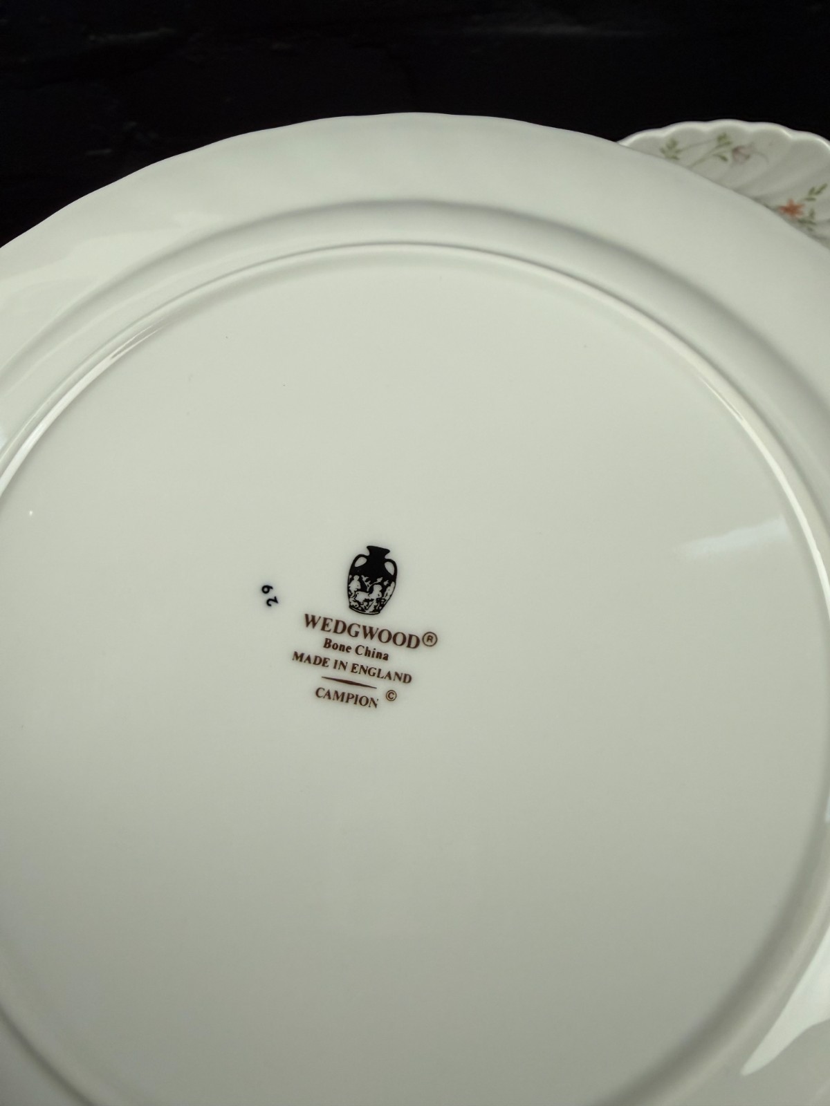 Wedgwood Campion Salad / Dessert Plates 8.75" Wide Set of 6