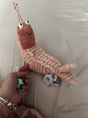 ジェリーキャット Sheldon Shrimp（海老）ぬいぐるみ JellyCat Plush Sheldon Shrimp H22cm(8.7in) w/Gift Wrap, NWT