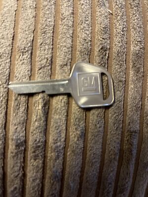 Genuine GM General Motors Logo D Key Blank Uncut B67