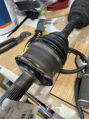 Photos de l'objet d'un acheteur vérifié
