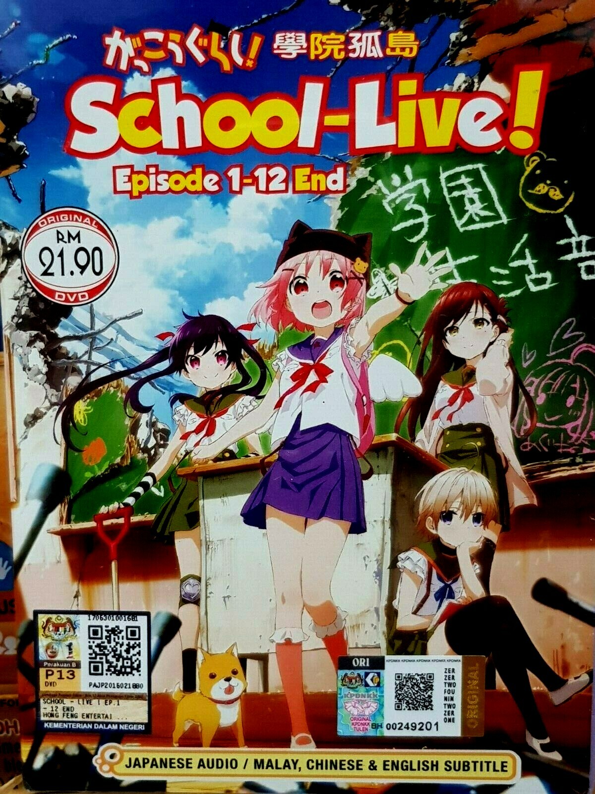SCHOOLYOUTH解散ライブDVDーR SCHOOLYOUTH解散ライブDVDーR ジュニア