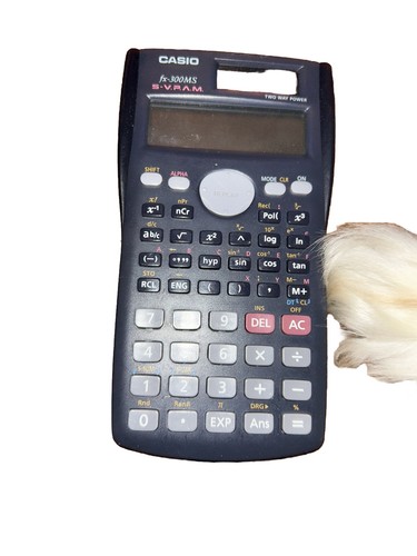 Casio Fx-300MS Two Way Power Solar Scientific Calculator KK2