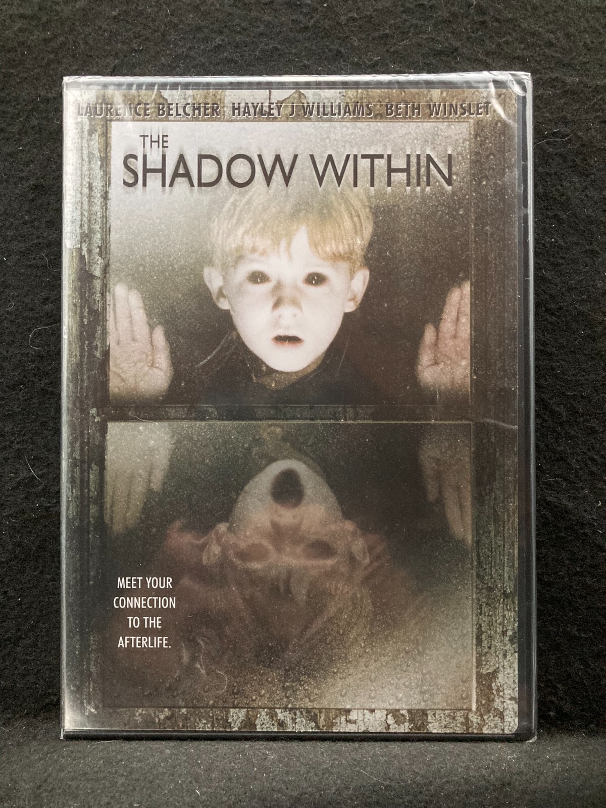 The Shadow Within (DVD, 2010) Laurence Belcher/Hayley J. Williams NEW SEALED The Shadow Within (DVD, 2010) Laurence Belcher/Hayley J. Williams NEW SEALED