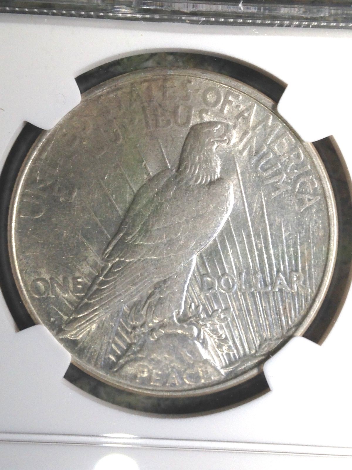 1923-D Peace Silver Dollar NGC AU 53AU About Uncirculated Denver Mint Eye Appeal