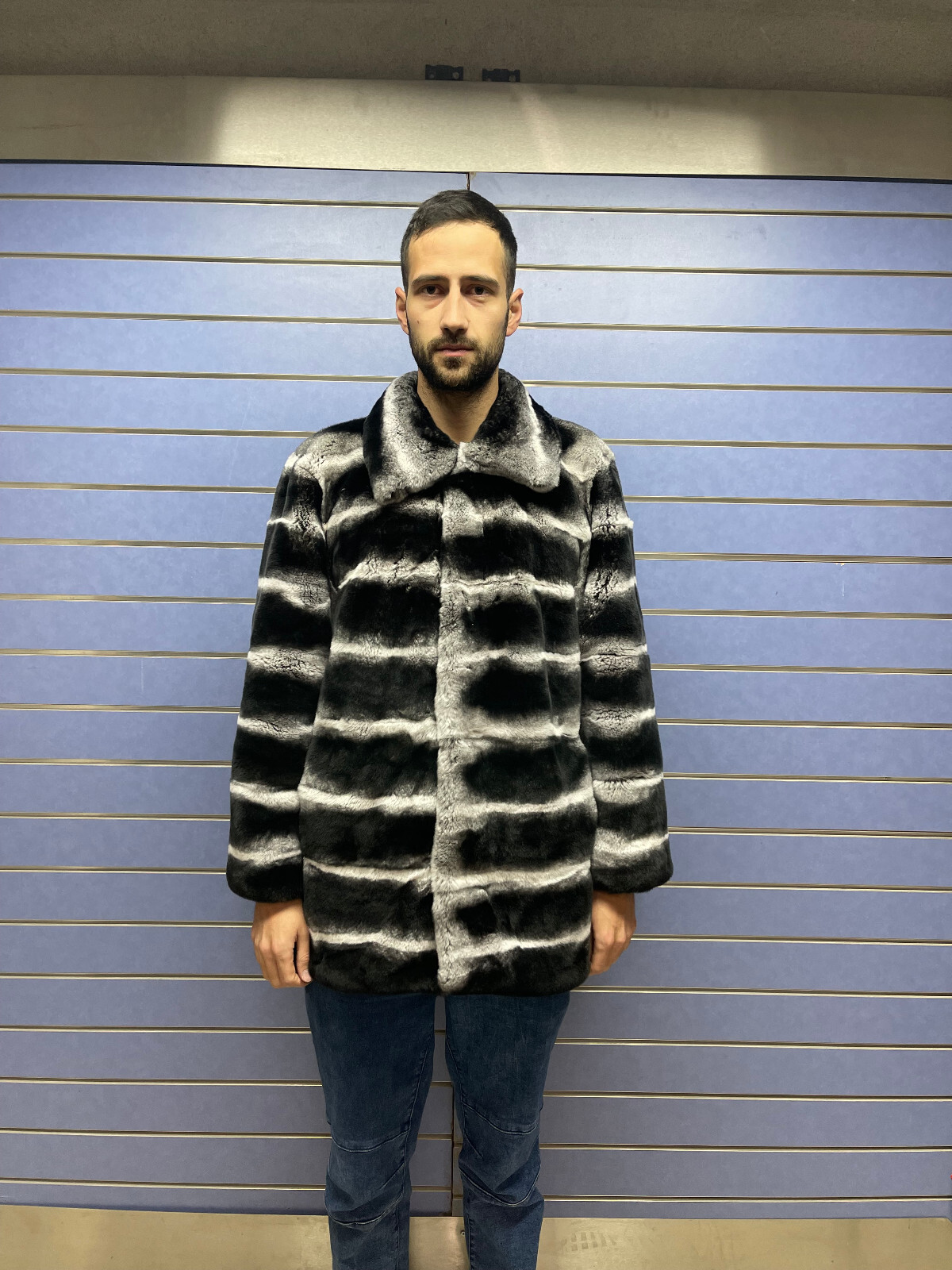 Pre-owned Fenzo Furs Luxury Rex Chinchilla Coat Real Rex Rabbit Fur Full Skin Coat With Collar In Multicolor