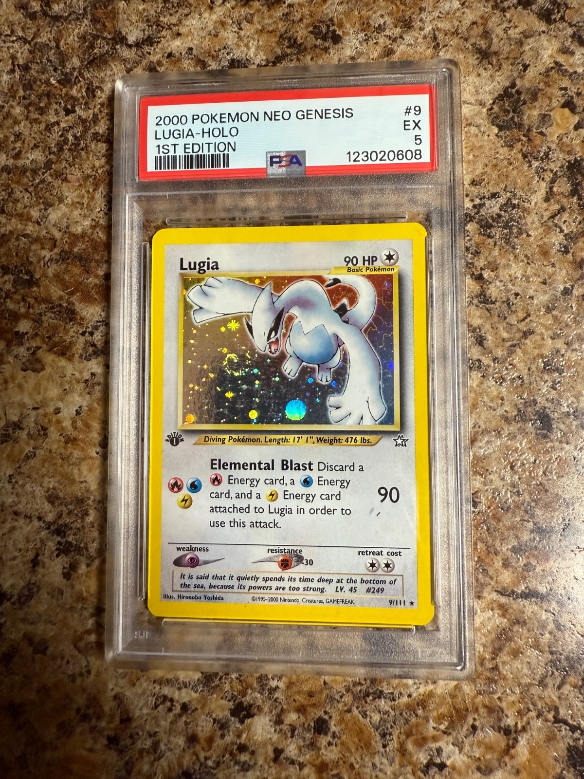 $_57.JPG?set_id=880000500F