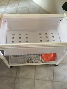 rascali bassinet