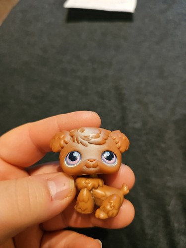 やっちゃん  様♡Lulu♡brown♡large Littlest Pet Shop~#786~Pug~Dog Puppy~Brown Cream~Freckles