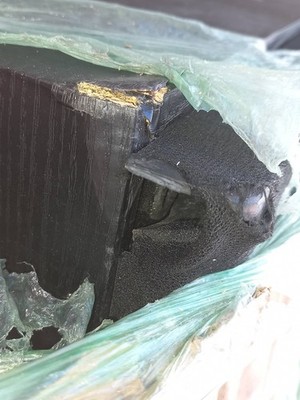 Fotos del artículo de un comprador verificado