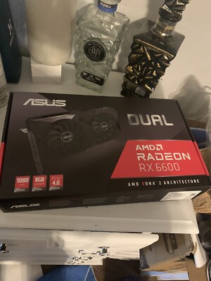 ASUS AMD Radeon RX 6600 and Riser Cable