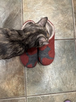 Foto dell'oggetto di un acquirente verificato