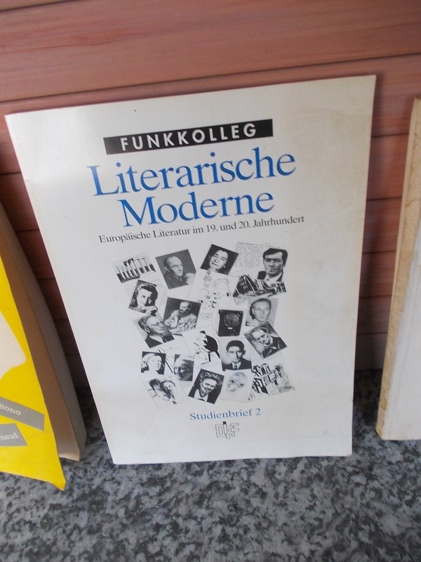 Literarische Moderne, EuropÃ¤Ische Literatur Im 19. Und 20. Jahrhundert, Studienb