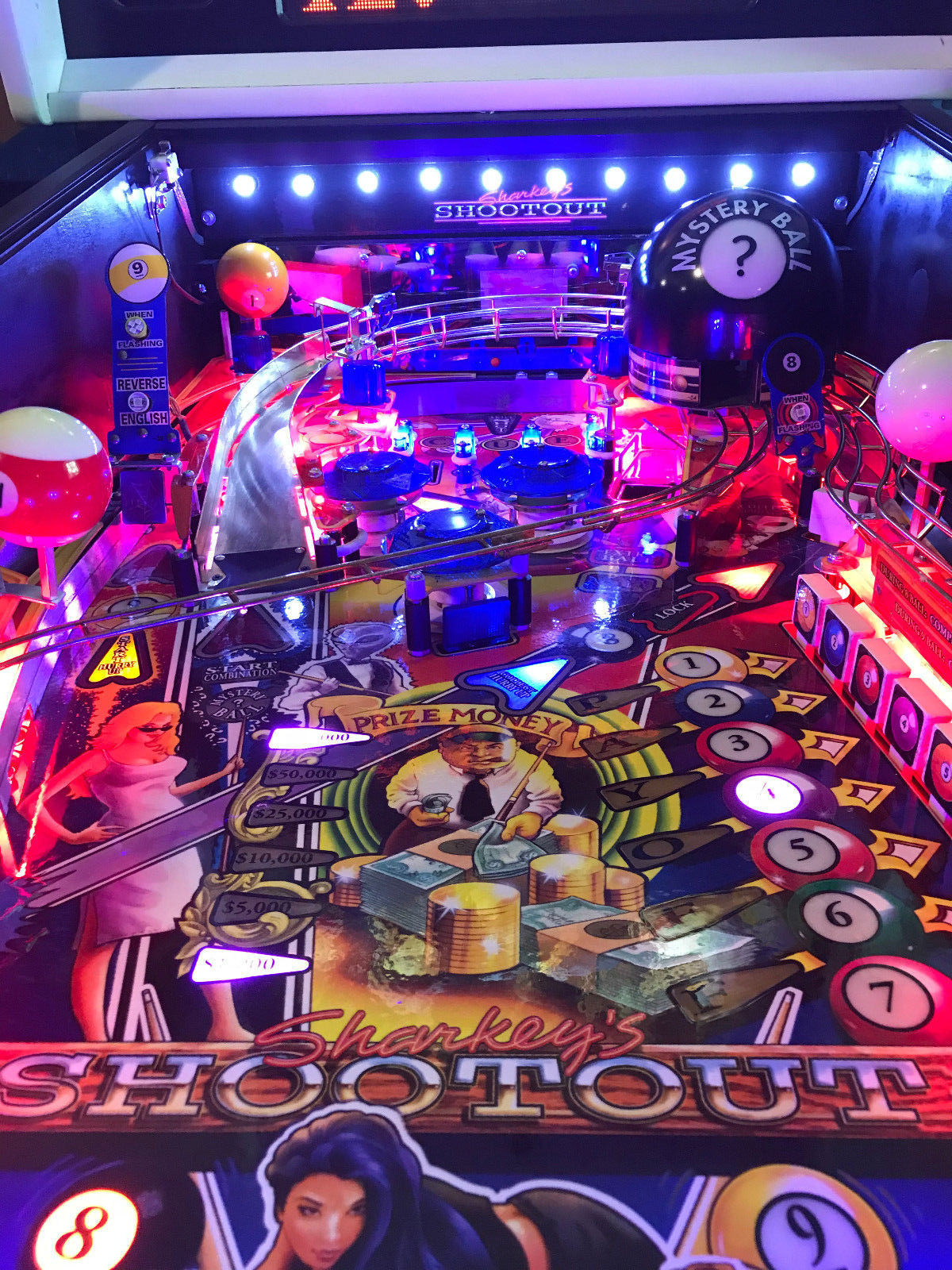 Sharkey's Shootout Pinball Machine Made By Stern (Only 800 built and Excellent)