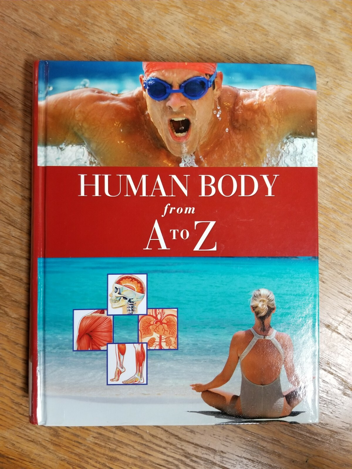 Human Body from A to Z Hardcover 9780761479468| eBay