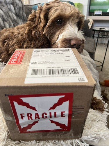 Item photo(s) from verified buyer