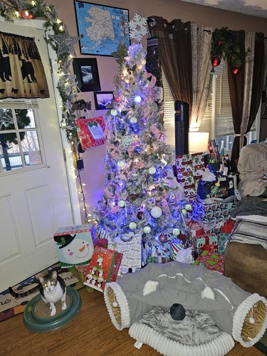 Fotos del artículo de un comprador verificado