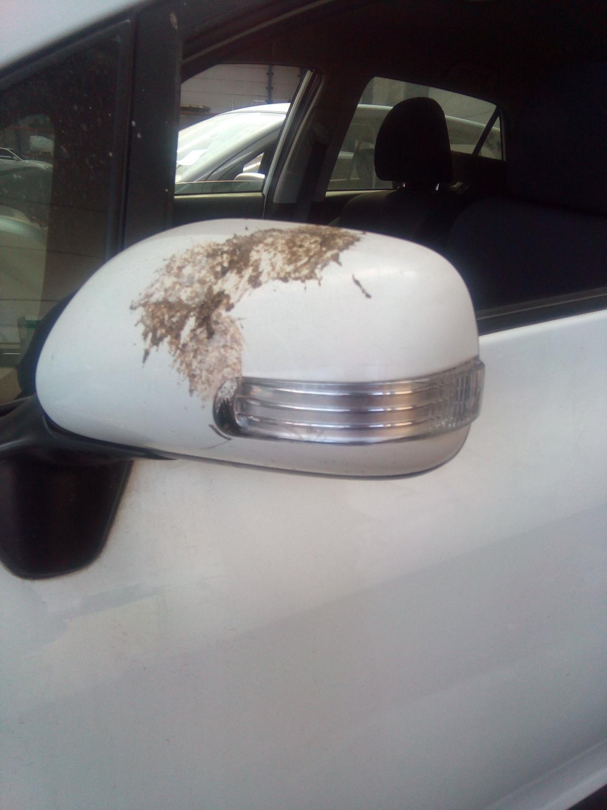 TOYOTA COROLLA ZRE152/153R 03/2007-10/2013 OVERFLOW BOTTLE - thumbnail 3