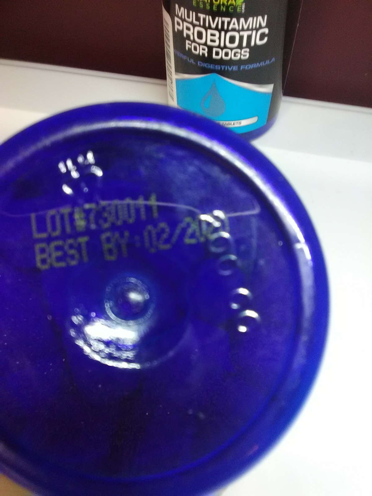 Dogs Multivitamin probiotic Natural Essence Digestion LOT- 2- 60 Chewables 2/20