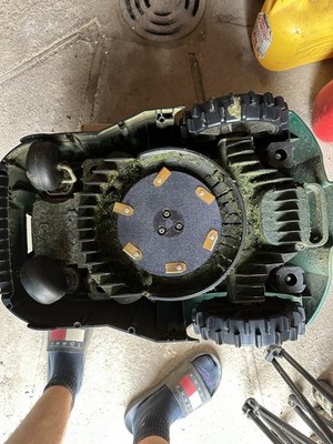 Artikelfoto(s) von einem verifizierten Käufer