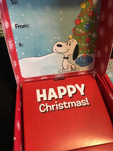 HALLMARK PEANUTS SNOOPY & SCHROEDER MUSICAL CHRISTMAS GIFT CARD HOLDER (2) - NEW