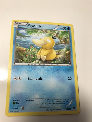 $_12.JPG?set_id=880000500F