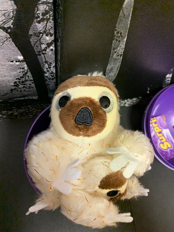 surprizamals sloth