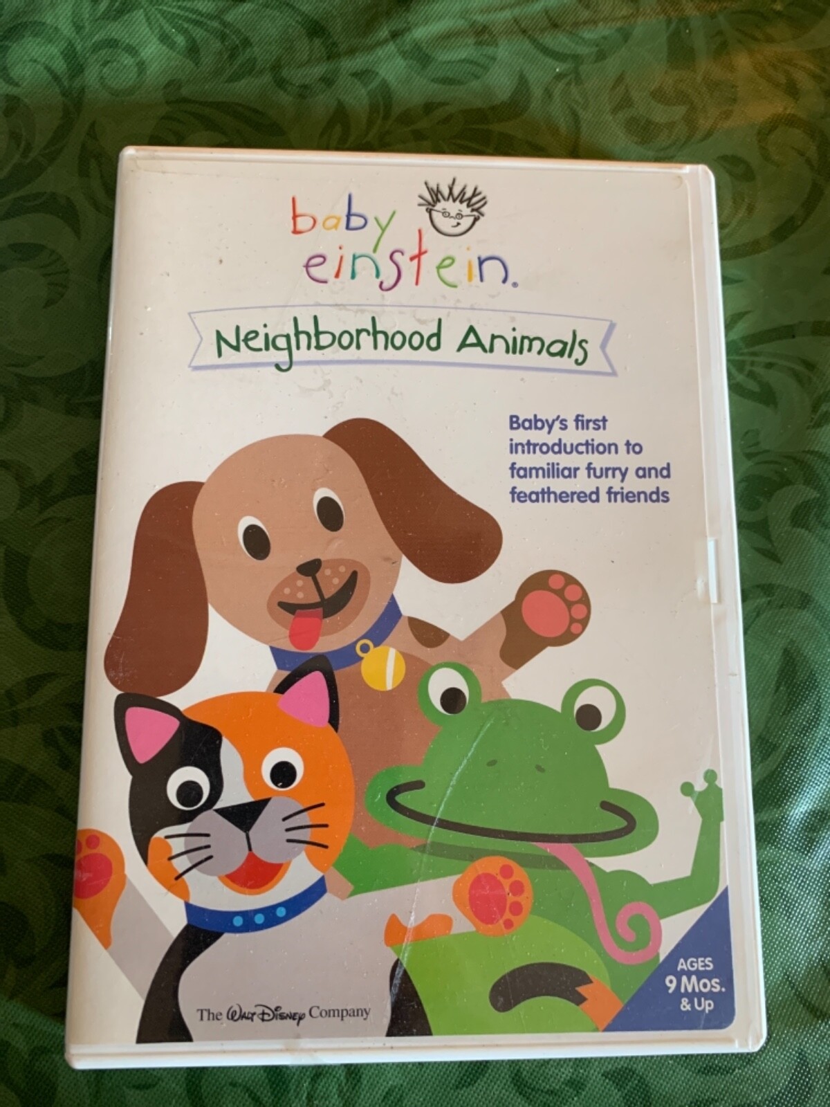 Baby Einstein neighborhood animals DVD tested~ SHELF198 | eBay
