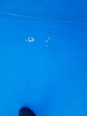 Artikelfoto(s) von einem verifizierten Käufer