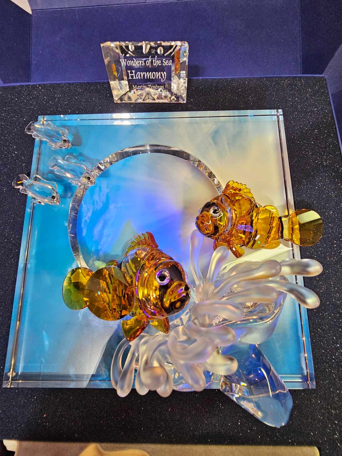 SWAROVSKI スワロフスキー Wonders of the sea Amazon.com: Swarovski Crystal Eternity SCS Wonders of the