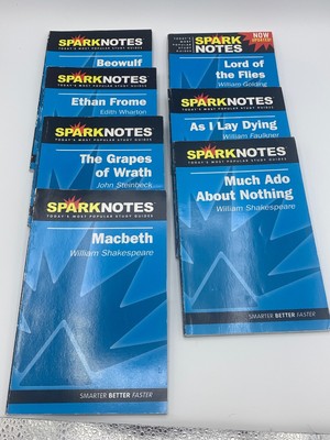 Spark Notes Literature Study Guides. Macbeth Lord of the Flies Beowulf lot of 7