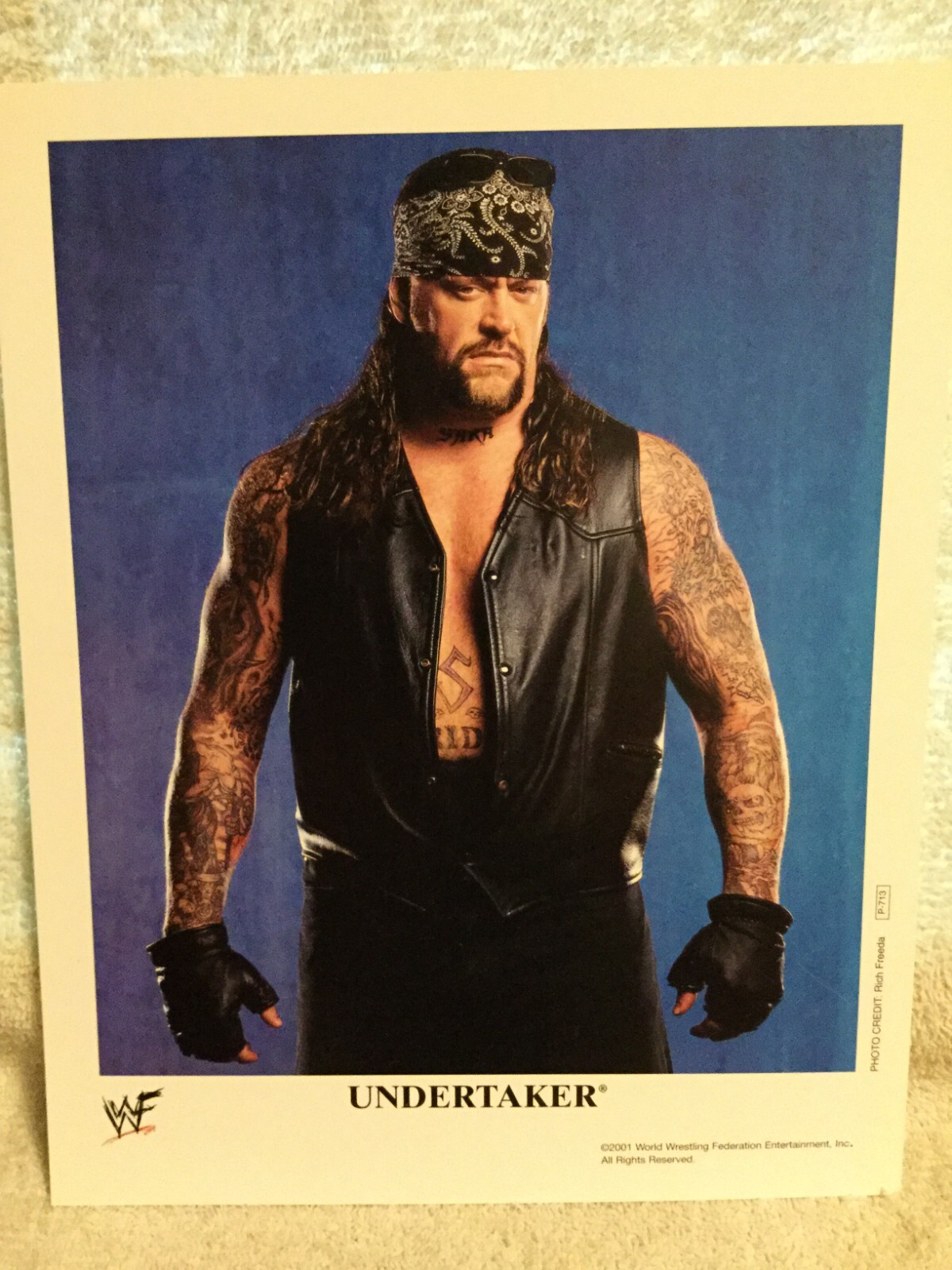 WWE Undertaker Promo Photo P-713 Original WWF Vintage 2001