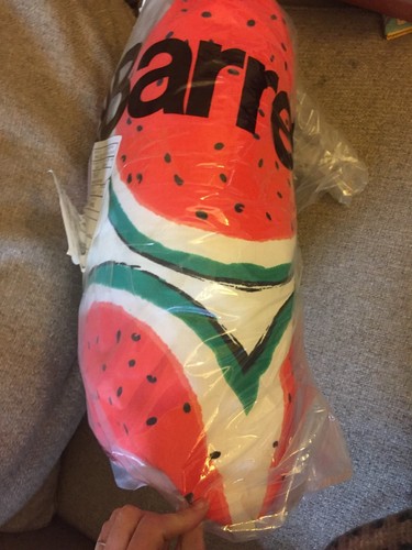 Crate & Barrel And Outdoor Watermelon Cushion Pillow Paola Navone New