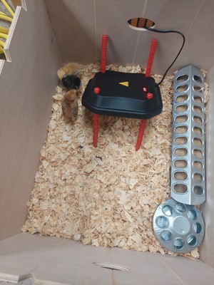 經驗證買家提供的物品圖片