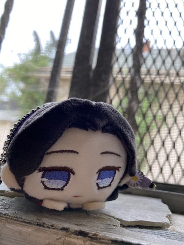 Artikelfoto(s) von einem verifizierten Käufer