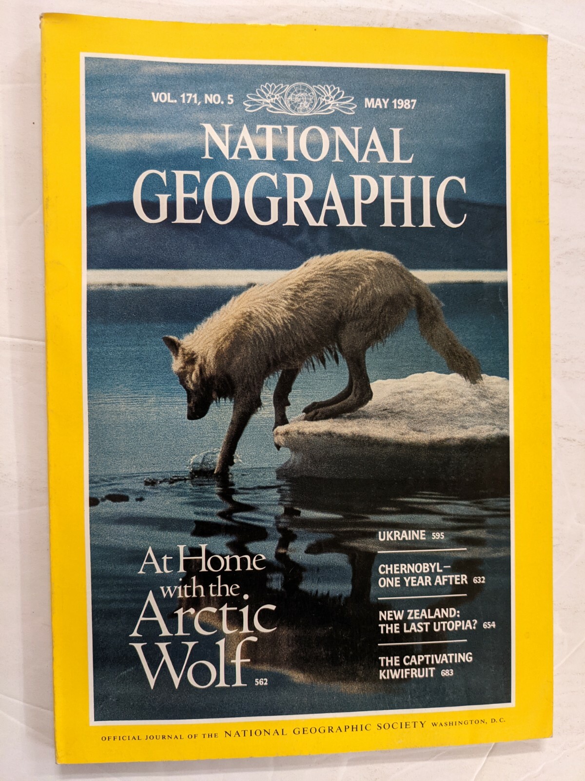 National Geographic Magazine / At Home with the Arctic Wolf