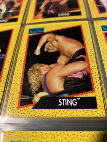 WCW カード 72枚 $_12.JPG?set_id=880000500F