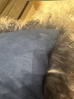 Artikelfoto(s) von einem verifizierten Käufer