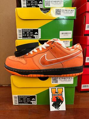 Nike SB Dunk Low Concepts Orange Lobster FD8776-800 Sz: 9-11