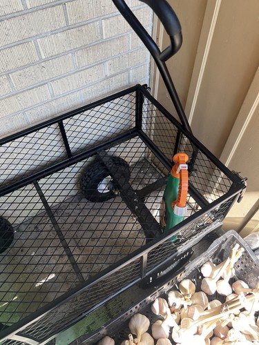 Item photo(s) from verified buyer