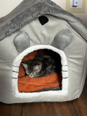 Fotos del artículo de un comprador verificado