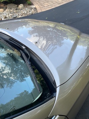 image 12 of exterior