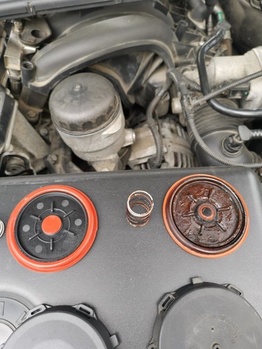 Artikelfoto(s) von einem verifizierten Käufer