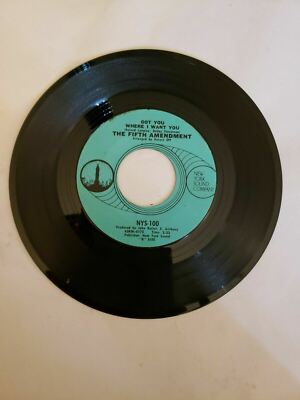 Fifth Amendment - Please Don't Leave Me Now (45RPM 7   Single)(J470) 