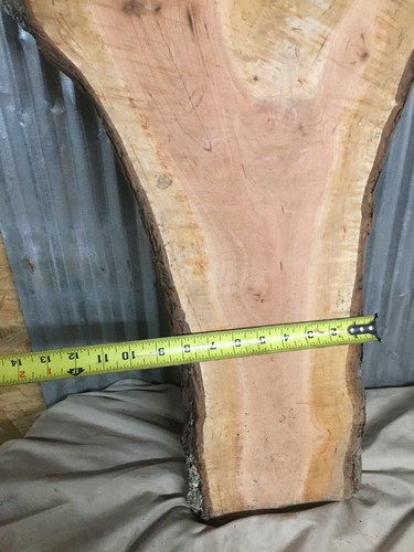 Fiddleback Figured Black Cherry Live edge slab